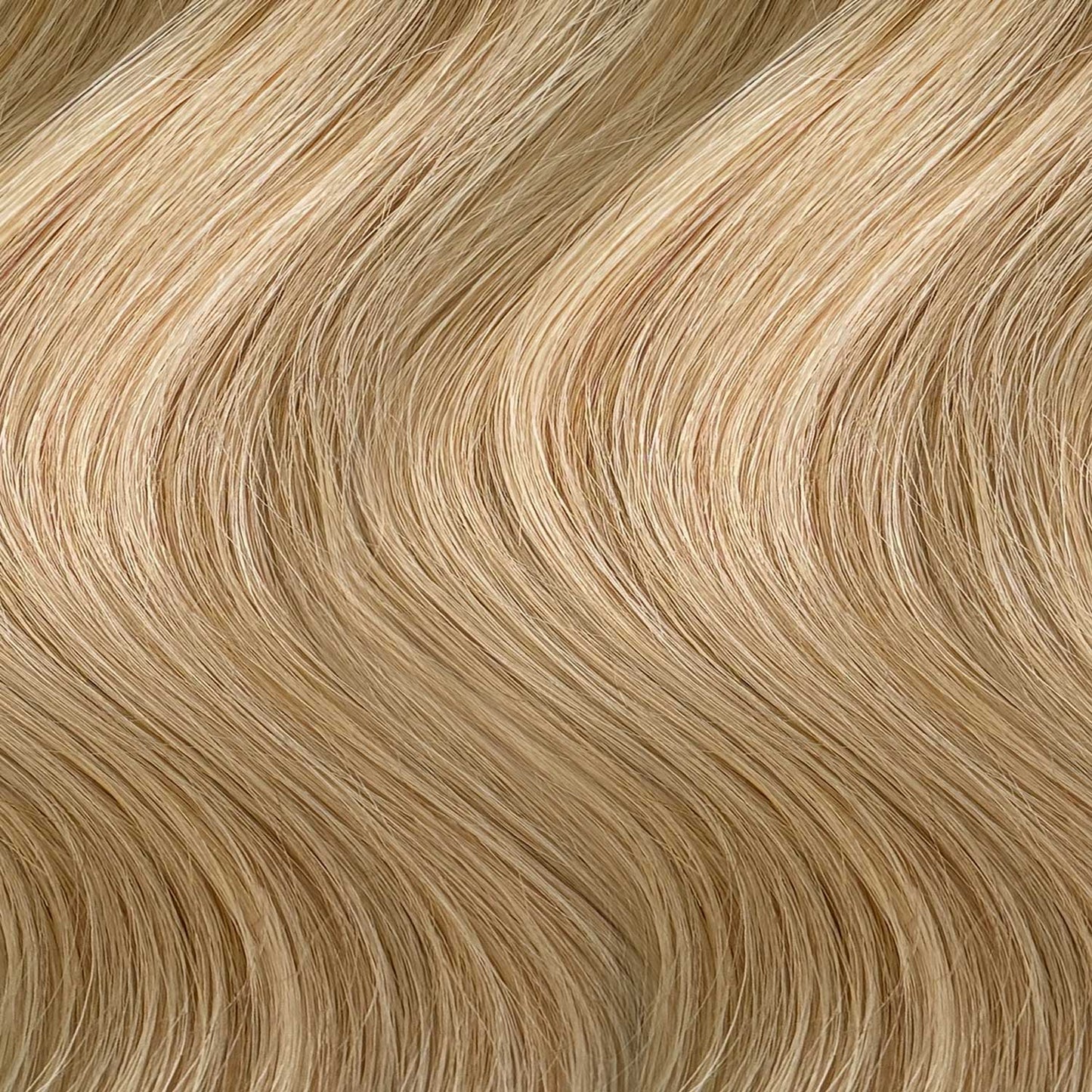 Extension adhesive #22 Sandy Blonde
